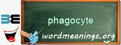 WordMeaning blackboard for phagocyte